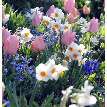 Spring Combination Ideas