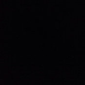Shelly Heller's photo