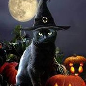Carmen Bourgeois's photo