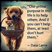Liliana Wolf's photo