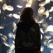 Cat Robbins's photo