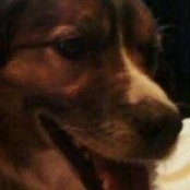 Lisa Bowling's photo