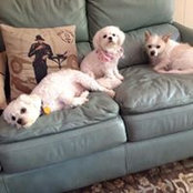Vicki Walden's photo