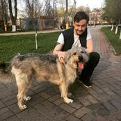 Kazennov Dmitriy's photo