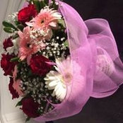 Loredana Pirozzi's photo