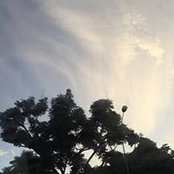 Dalilah Mohamed's photo