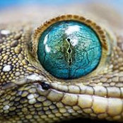 Sam Hand's photo