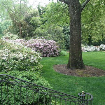 Landscape Management