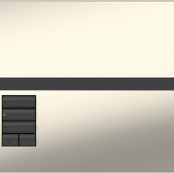 Lutron GRAFIK Eye QS keypad from the architectural metal finish collection - Lighting