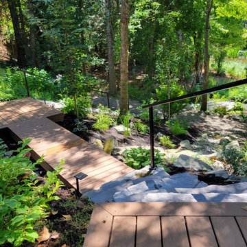 Scenic Descent: A Safe and Stunning Lakeside Path