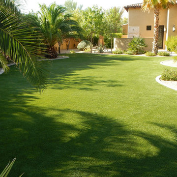 Backyards