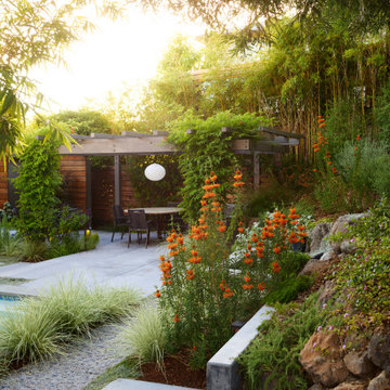Oakland Hills Hideaway