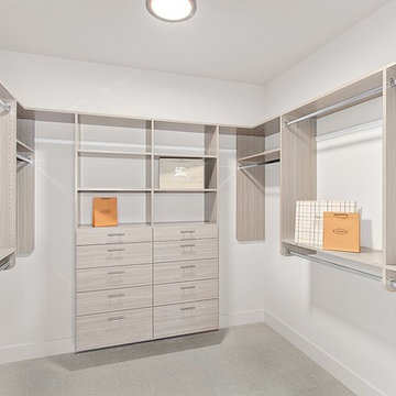 Clyde Hill Contemporary