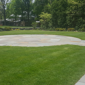 Backyard Renovation
