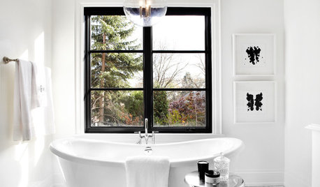 The Allure of Black-Framed Windows – Faux Pas or Fabulous?