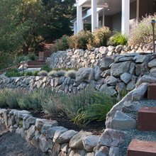 CC front walk
