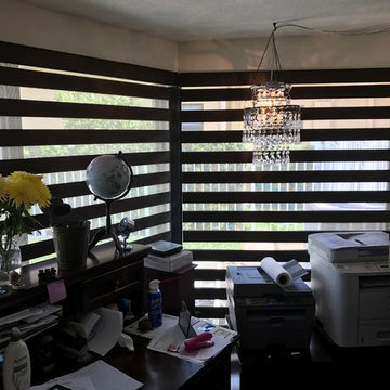 Zebra Illusion Blinds - Pompano Beach, Florida