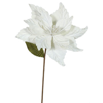 22" Cream Poinsettia, 12" Flower, 6/Bag
