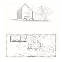 Fernanda Lins's Ideas