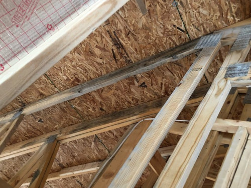 Is this mold on framing lumber?