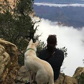 Beth Williams-Abele's photo
