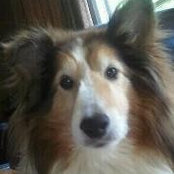 Marija Grahovac's photo