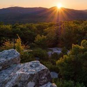 John Bald's photo