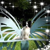 Carol Malec's photo