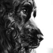 Gwilgat's photo