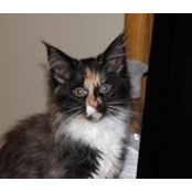 Melanie Galka's photo