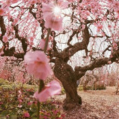 Paulette Fernandez's photo