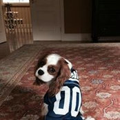 Scott Ornstein's photo