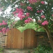 Delrea Kelderman's photo