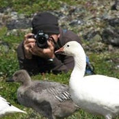 Photo de Tommy Bidrowski