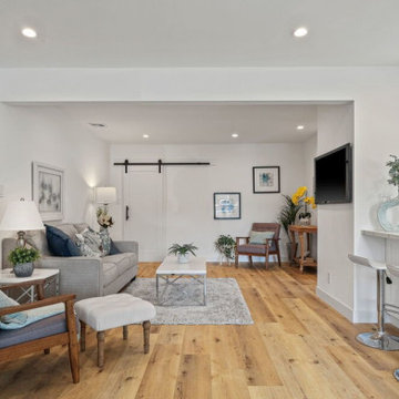 Living Room Remodel