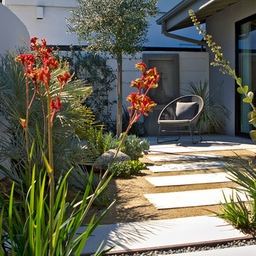 Mid Century Modern in the Hollywood Hills - Front Patio