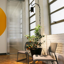 Dental Office Ideas