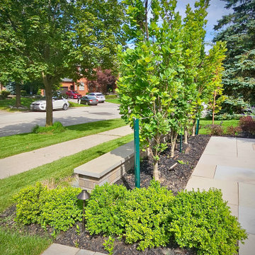 Front Yard Privacy Trees and Stone Walkway Landscaping
