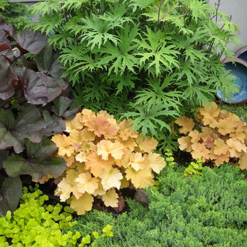 My Gardens and Landscape Architecture