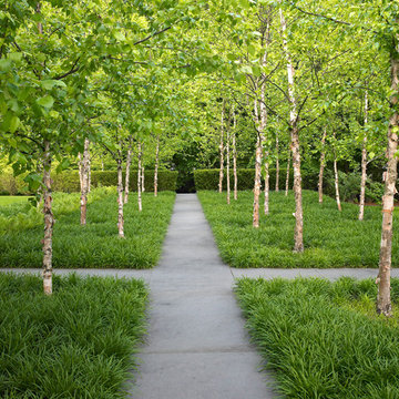 Greenwich Garden