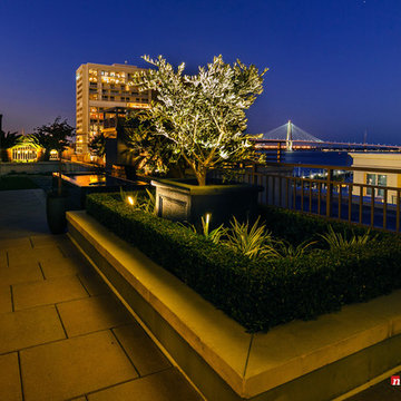 Moonlighting Landscape Lighting Systems - Downtown rooftop garden