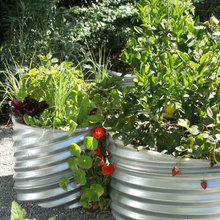 Container Garden