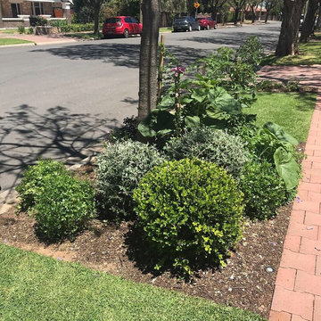Malvern | Front Garden | Back Garden | Verge Garden
