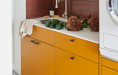 15 Richly Coloured Utility Rooms