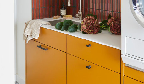 15 Richly Coloured Utility Rooms