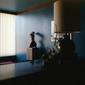 Live-Work Condo Remodel