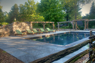 Inspiration for a mid-sized timeless backyard rectangular and stone lap pool remodel in Other