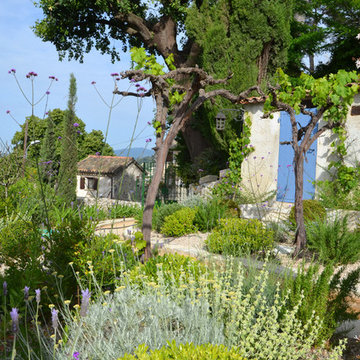 Jardin sec - Pittosporum tobira, Verbena b., Helichrysum, Rosmarinus