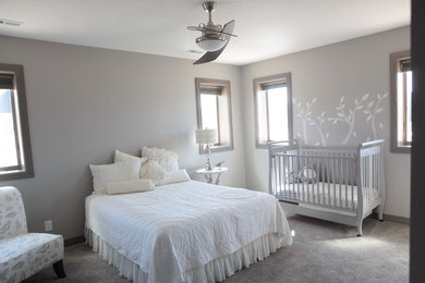 Bedroom - transitional bedroom idea in Cedar Rapids