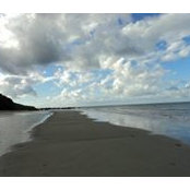 Cy Ka's photo